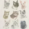 Barn T-skjorte med «Cat Faces»-motiv