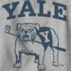 Barnesweatshirt med Yale University-grafikk