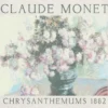 Barnet-skjorte med «Monet Floral»-motiv