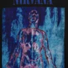 Nirvana T-skjorte i tykk bomullsjersey med grafisk trykk