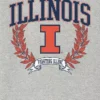 University of Illinois Laurels mørk grafisk T-skjorte