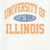 University of Illinois Vintage Fighting Illini-grafisk T-skjorte
