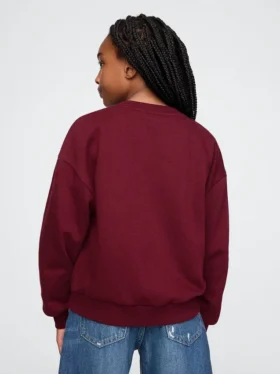 Vintagesoft-sweatshirt for barn