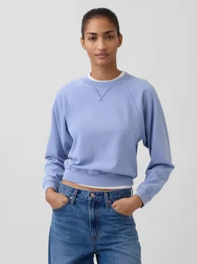 Vintagesoft Terry Raglan-genser